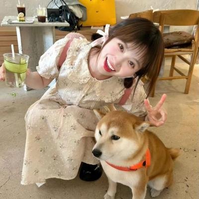 小鸡